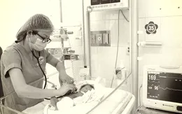 Bé sơ sinh non tháng bị bỏ rơi tại ruộng khoai ở Thái Bình tử vong