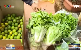 Những chuyến xe nghĩa tình hướng về vùng dịch