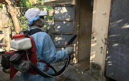 Bình Định ghi nhận hơn 200 ổ dịch sốt xuất huyết