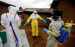 WHO thông báo 100 ca nhiễm Ebola ở miền Tây CHDC Congo