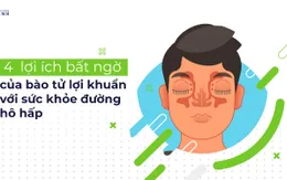 4 lợi ích bất ngờ của bào tử lợi khuẩn với sức khỏe đường hô hấp