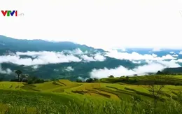 Việt Nam là câu chuyện thành công về giảm nghèo