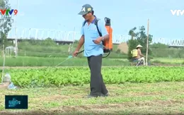 Ngăn chặn lạm dụng thuốc bảo vệ thực vật