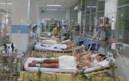 Bộ Y tế yêu cầu báo cáo khẩn về các ca bệnh ngộ độc độc tố botulinum sau khi ăn pate Minh Chay