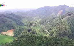 Đổi thay trên vùng quê cách mạng Chợ Đồn, Bắc Kạn