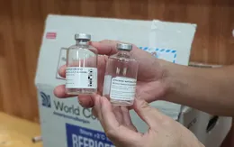 Bộ Y tế cấp phép nhập khẩu thuốc giải độc ngộ độc Botulinum