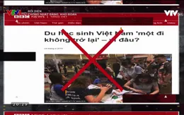 Nhạt Đảng, khô Đoàn và tình trạng một bộ phận thanh niên lệch lạc, thiếu lý tưởng