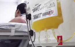 Bộ Y tế kêu gọi người đã khỏi COVID-19 hiến huyết tương