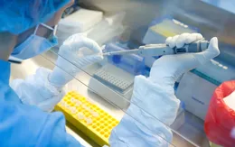 Vaccine COVID-19 của Nga có thể được cấp phép vào giữa tháng 8