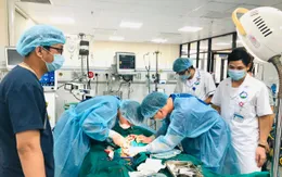 Cứu một phụ nữ sốc phản vệ, suy đa tạng, tiên lượng tử vong cao
