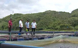 Giao nhiệm vụ, khoán sản phẩm để đánh giá cán bộ khách quan, minh bạch