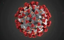 Trung Quốc phát hiện virus SARS-CoV-2 trên bao bì mực ống nhập khẩu