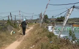 "Bẫy" điện từ những đường dây tạm bợ, mỗi nơi một kiểu tại vùng nuôi tôm