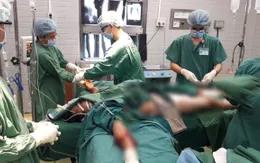 Cứu bệnh nhân bị cây cổ thụ đè trúng người