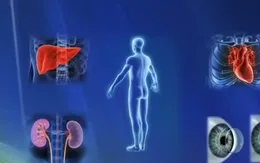 Vượt định kiến hiến tạng từ nơi xa xứ