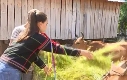 Đồng bào dân tộc thiểu số vươn lên thoát nghèo