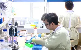 Sáng 30/10, Việt Nam không ca mắc mới COVID-19