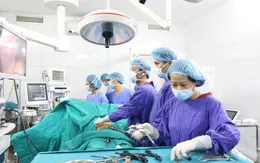 Nội soi lấy 9 viên sỏi trong ống mật chủ bệnh nhân