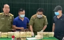 Mang súng K59, đi xe biển số giả áp tải 10 kg ma túy đá