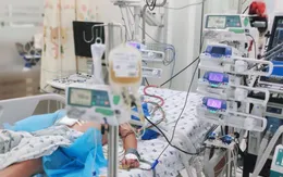 Bé trai 13 tuổi sốc sốt xuất huyết, biến chứng suy đa cơ quan