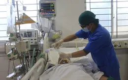 Nhập viện nguy kịch do xe tải chở gỗ đổ sập lên người