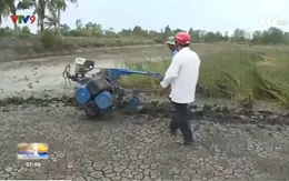 Nông dân Cà Mau và chiếc máy cày phao nổi