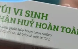 Thay đổi thói quen sử dụng túi ni lông dùng một lần tại các chợ