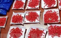 Liên tiếp phá 4 vụ án liên quan đến ma túy trên tuyến biên giới biển