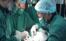 Cấp cứu ngư dân đau ruột thừa trên đảo Bạch Long Vĩ