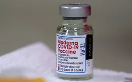 Muốn tăng tốc độ tiêm chủng, Mỹ tính giảm nửa liều lượng tiêm vaccine Moderna