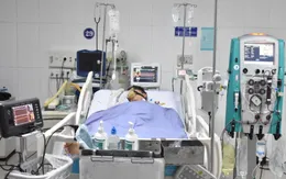 Cứu bệnh nhân suy hô hấp, suy đa tạng do viêm cơ tim cấp