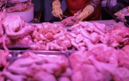Trung Quốc phát hiện ổ dịch tại nhà máy chế biến thịt gà