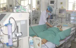 Đắp hỗn hợp gừng với mật ong vào vết cua kẹp, người đàn ông nguy kịch