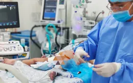 Cứu sống nhiều trẻ sốc sốt xuất huyết nặng