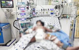 Cứu sống bé gái 5 tuổi sốc sốt xuất huyết cận kề cửa tử