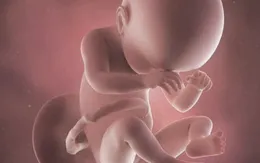 Phát hiện tế bào ung thư truyền từ mẹ sang con qua nước ối