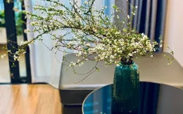 Những loại hoa lạ hút khách dịp cận Tết