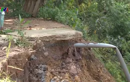 Sạt lở đe dọa nhà dân và đê hữu sông Hồng