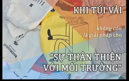 Khủng hoảng túi vải: Khi giải pháp cho môi trường trở thành vấn đề