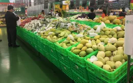 Làm thế nào để phát huy được thế mạnh của các hợp tác xã nông nghiệp?