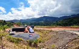 Dùng xe container thùng kín, trà trộn các loại gỗ: Thủ đoạn mới của các đối tượng vận chuyển gỗ lậu