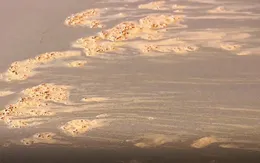 Nước biển bỗng nhiên sẫm màu, sủi bọt kỳ lạ