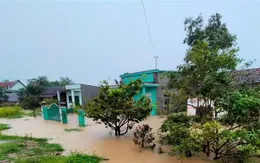 Mưa lớn gây ngập hàng trăm ngôi nhà và thiệt hại sản xuất nông nghiệp ở Đắk Lắk