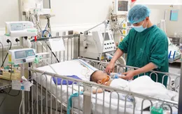 Đắp lá cây chữa bệnh, bé trai 20 tháng bị hoại tử bộ phận sinh dục