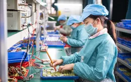 Liên kết vùng - Yếu tố quan trọng để phục hồi kinh tế