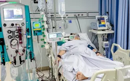 Lọc máu liên tục cứu sống bệnh nhân sốc nhiễm khuẩn, suy đa tạng kèm nhiều bệnh lý nền nguy hiểm
