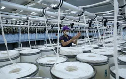 Hoa Kỳ ban hành kết luận cuối cùng về chống bán phá giá với sợi PTY của Việt Nam