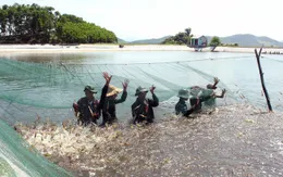 Phát triển nuôi biển trở thành ngành sản xuất hàng hóa quy mô lớn