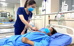 Cứu sống bệnh nhân bị rắn hổ mang chúa cắn
