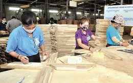 Ngành gỗ có thể cán đích mục tiêu xuất khẩu 14,5 tỷ USD